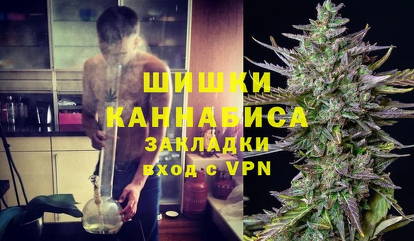 ешки Аркадак