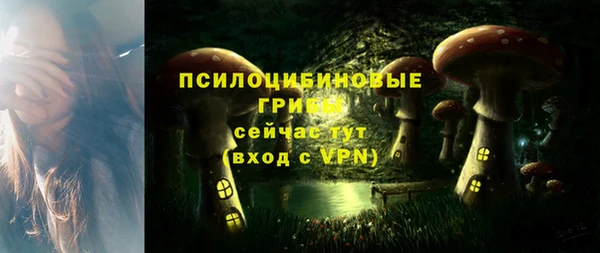 герыч Арсеньев