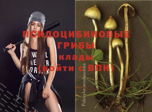 mix Армянск