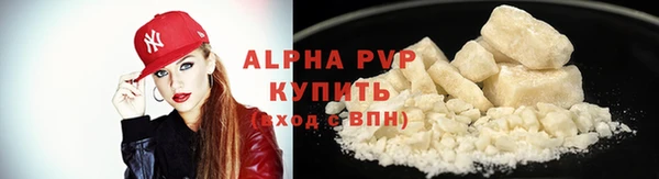 стаф Приозерск