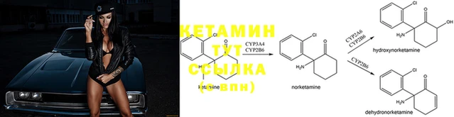 ешки Аркадак